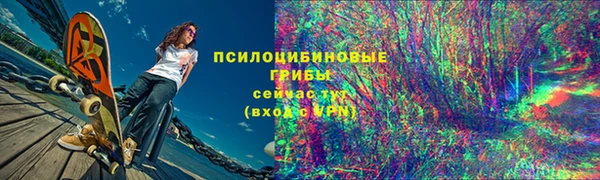 хмурый Гусиноозёрск
