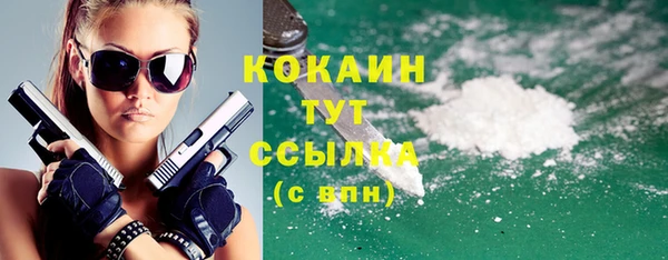 стаф Бородино